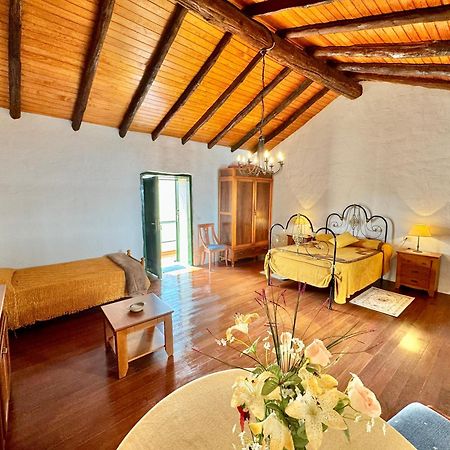 Guanche 'Casa Rural Canaria' ซานมิเกลเดียโบนา ภายนอก รูปภาพ